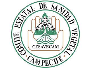 CESAVE Campeche