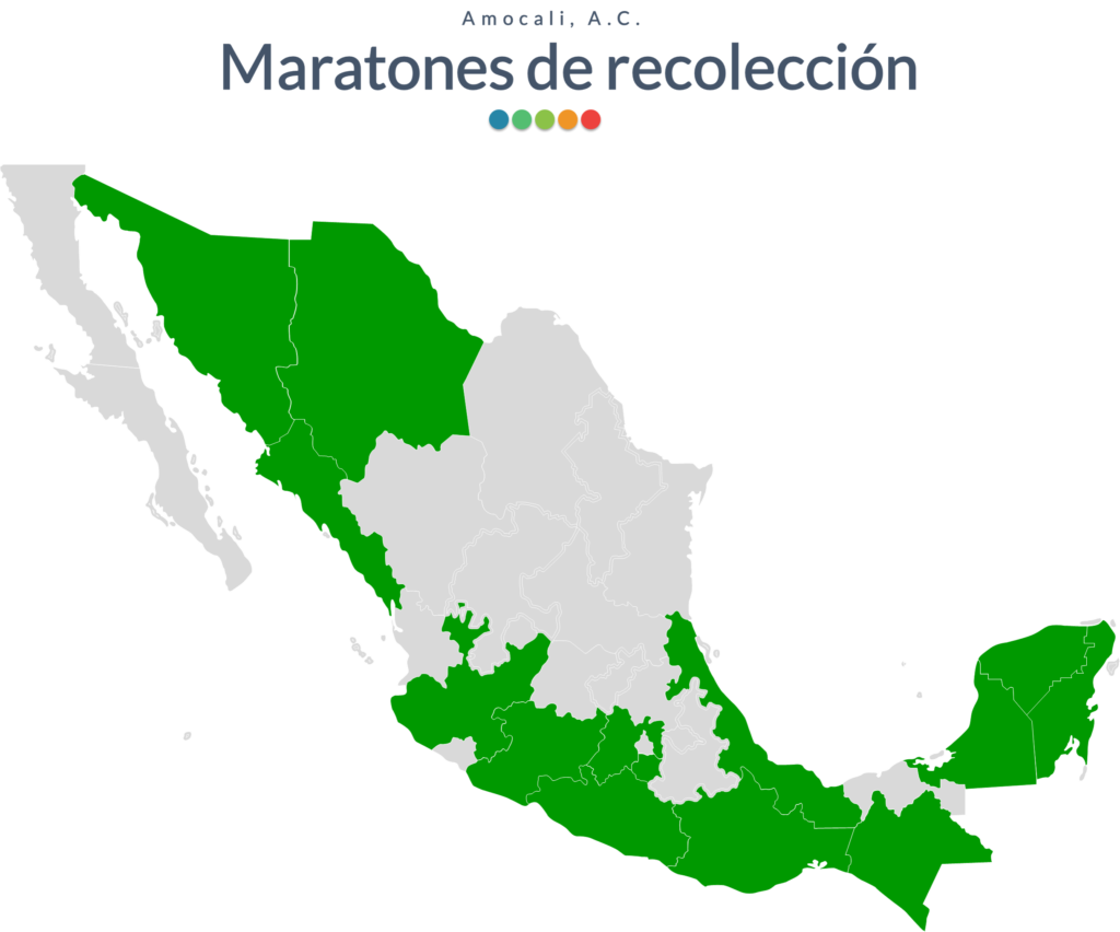 MARATONES DE RECOLECCIÓN 2019