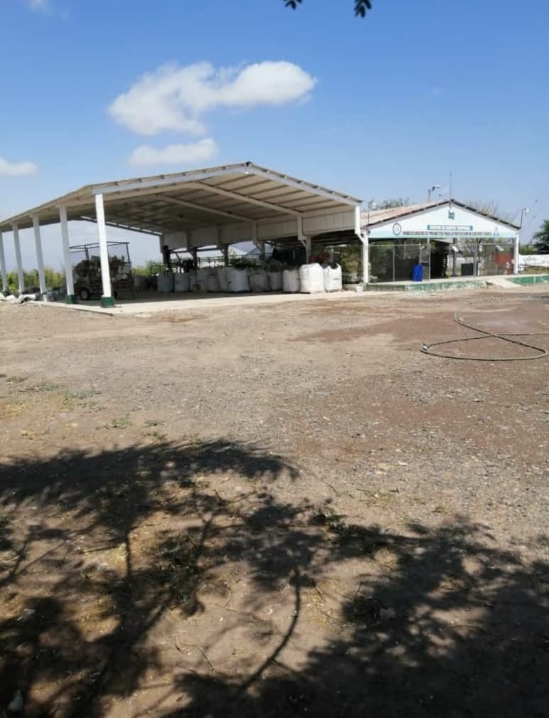 Tras circuito en CAT Culiacán, Guasave y Los Mochis, se movilizaron 12,930 kg de envases vacíos