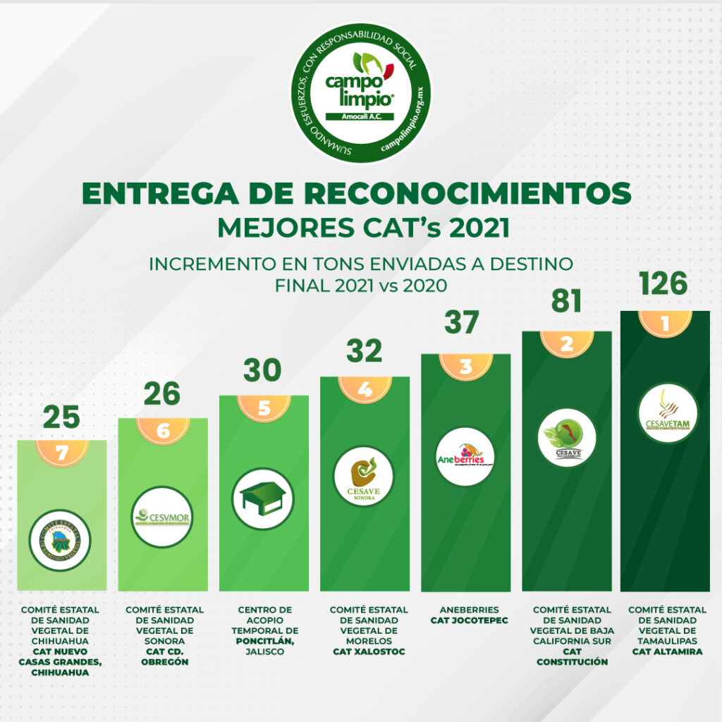 Los mejores CATS 2021